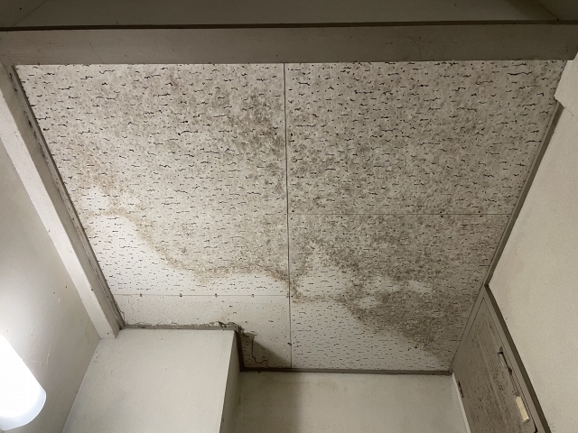 外壁や屋根など雨漏りが起きやすい原因とは？