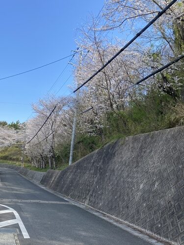 4月です🌸~塗装に適した気候 25401　